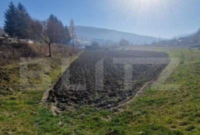 Teren extravilan - Sita Buzaului -6800 mp posibilitate trece - 3