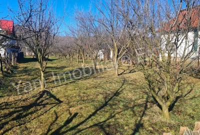 Teren de 1422 mp, în Oeștii Pământeni - 3