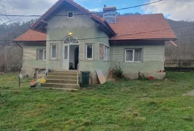 Casă cu Teren 3000 Mp în Dăbâca - 10