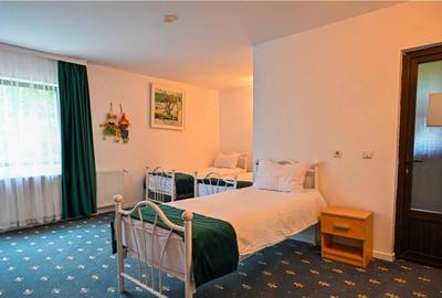 Complex turistic,afacere la cheie,3 vile, teren 7.700 mp,pan - 6