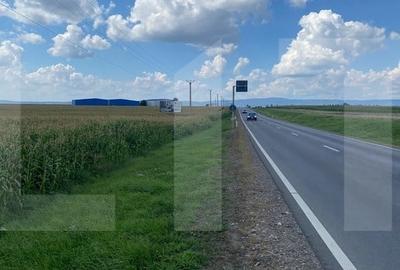 Oportunitate - teren 1HA, front 191 m, Reci, nod de tranzit DN11 - DN13E - 4