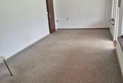 Spațiu comercial, de 30 mp, în Ștefănești - 1