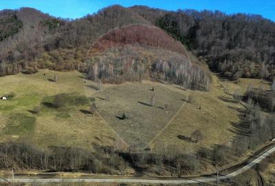 Teren agricol extravilan de 16466 mp, în Mara - 12