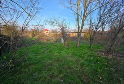 Teren agricol intravilan de 2458 mp, în Bulbucata - 1