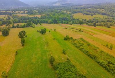 Teren agricol extravilan de 8439 mp, în Șinca Nouă - 1