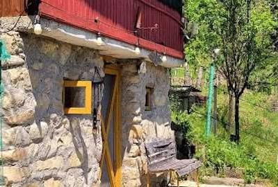 Casă cu 4 camere în Cosminele - 2