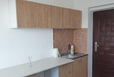 Garsonieră în Theodor Pallady - 5