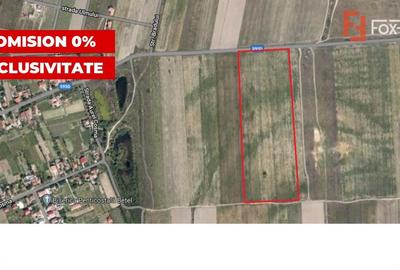 Teren 20000 mp intre Mosnita Veche si Bucovat - ID V4317 - 1