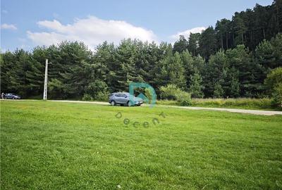 Teren Construcții intravilan de 1500 mp, în Poiana Angelescu - 12