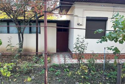 TEREN 331MP | DESCHIDERE 12M - 3