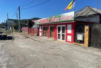 Propietate de vanzare,cu spatiu comercial 47mp, stradal dn7 pitesti Valcea,dupa hanul valea ursului! - 10