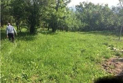 Spațiu comercial, în Surdești - 3