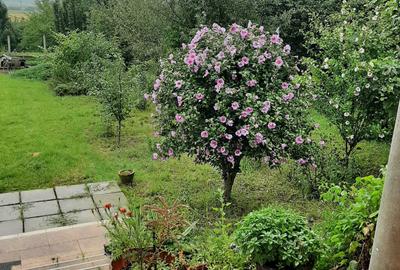 Vand casa din 2004, tren 11500 mp, Cuci, jud. Mures - 5