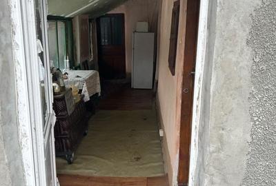 Casă cu Teren 2400 Mp în Toporu - 9