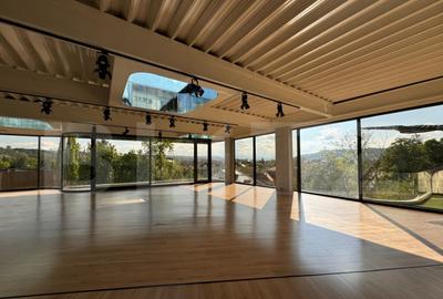 Spatiu modern in cladire unicat - 5