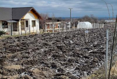 Spațiu comercial, în Lisaura - 2