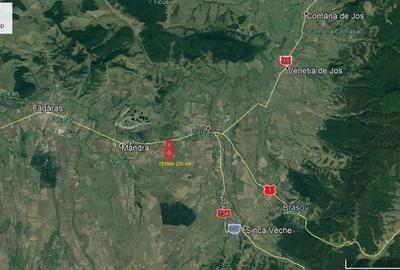 Teren Sercaia  250 ha - 1