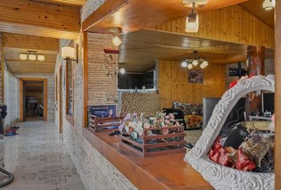 COMISION 0% | 2 Case cu Spatiu Comercial | Teren 1019mp | 540 eur/mp - 12