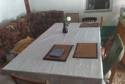 Casa de vanzare Vidin Braila ( Pisc ) 5 camere ( +1 camera micuta ) - 3