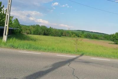 Teren de 2256 mp, în Bodești - 3