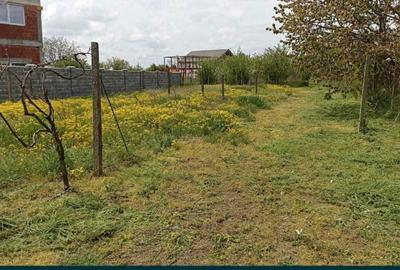 Teren de 3409 mp, în Lazu - 2