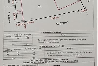 Casa + Anexa | Traian | Pache | Popa Nan | 400 mp- 262 curte - 11