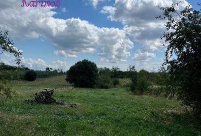 Casa in localitatea Carandeni - 4