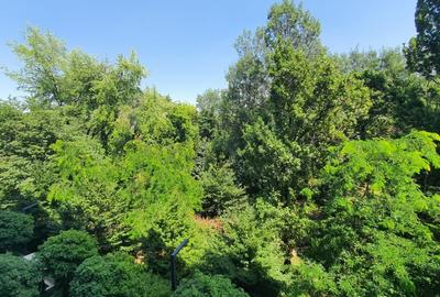REA1024709 Apartament 5 camere High End Rahmaninov Residence I Floreasca - 2