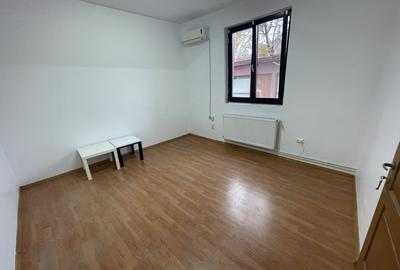 Birou + Depozitare - Lizeanu - Maica Domnului - Tei - 1