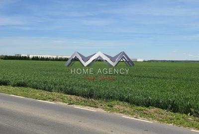 Teren agricol intravilan de 33211 mp, în Tunari - 1