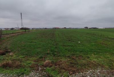 Teren de 3266 mp, în Ișalnița - 1