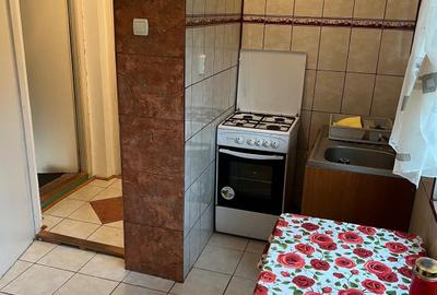 Refugiu montan în Lepșa ,vacanțe și relaxare - 6