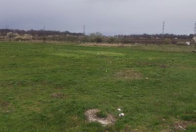 Teren Construcții intravilan de 1667 mp, în Cernica - 1