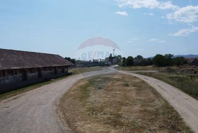 Teren industrial 5.000 mp Vintu de Jos - amplasament strategic - 12