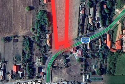 Teren de 4425 mp, în Lipia - 6