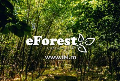 Loturi de casă 720 - 900 mp, langă Pădure în eForest, acces asfaltat - 2