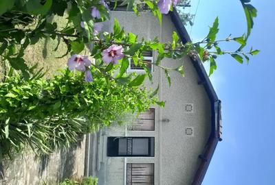 Casă cu 5 camere cu Teren 529 Mp în Breaza - 1