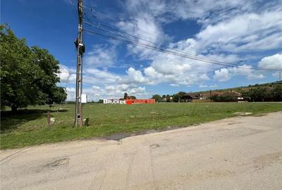 Teren de 5341 mp, în Marghita - 4