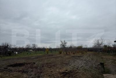 Casă cu 3 camere cu Teren 2745 Mp în Săcueni - 13