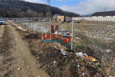 Teren de 765 mp, în Ighiu - 4