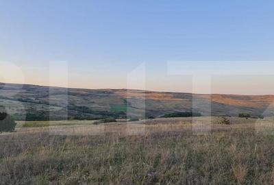 Teren, 11.600 mp, Campenesti - 3