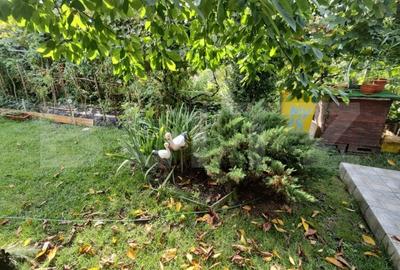 Casa 6 camere, 180 mp utili, 460 mp teren, Turda - 5