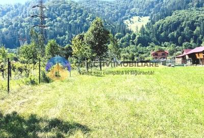 TEREN intravilan  PANGARATI - PRELUCA - 4