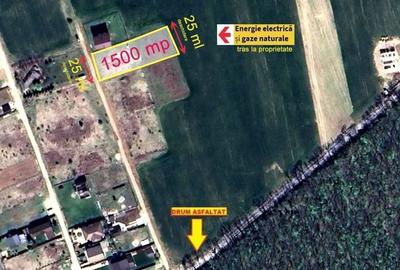 TEREN CONSTRUCTII-INTRAVILLAN-SUPERB-SNAGOV-PADURE-UTILITATI-PROIECT - 3