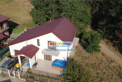 Vila cu garaj Padurea Pantelimon - 4 camere - 17