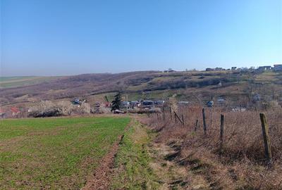 Teren Construcții intravilan de 83000 mp, în Vorovești - 4