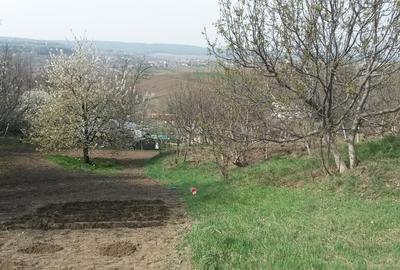 Teren Construcții intravilan de 8657 mp, în Manolești - 4