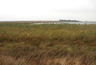 2 loturi teren comuna 23 August, Constanta - 1