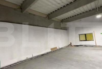 Spatiu comercial, 160 mp utili, zona Carolina Mall-Ampoi - 6