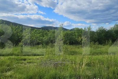 Teren de 1281 mp, în Căprioara - 3